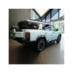 Leopard 8, Fang Cheng Bao – For Sale From China  | EVOVED - Image 7