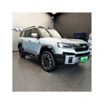 Leopard 8, Fang Cheng Bao – For Sale From China  | EVOVED - Image 8