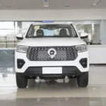 GWM Cannon   – For Sale From China  | EVOVED