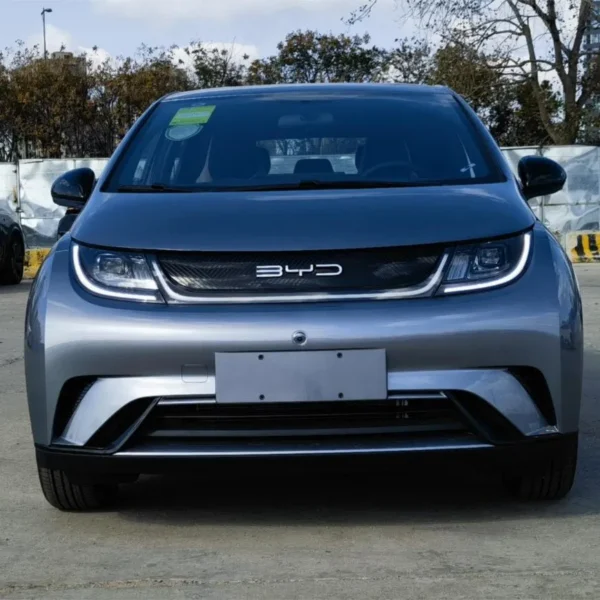 BYD Dolphin – For Sale From China | Chinese Ev Cars in Algeria